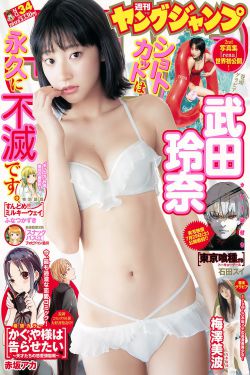 真理面具